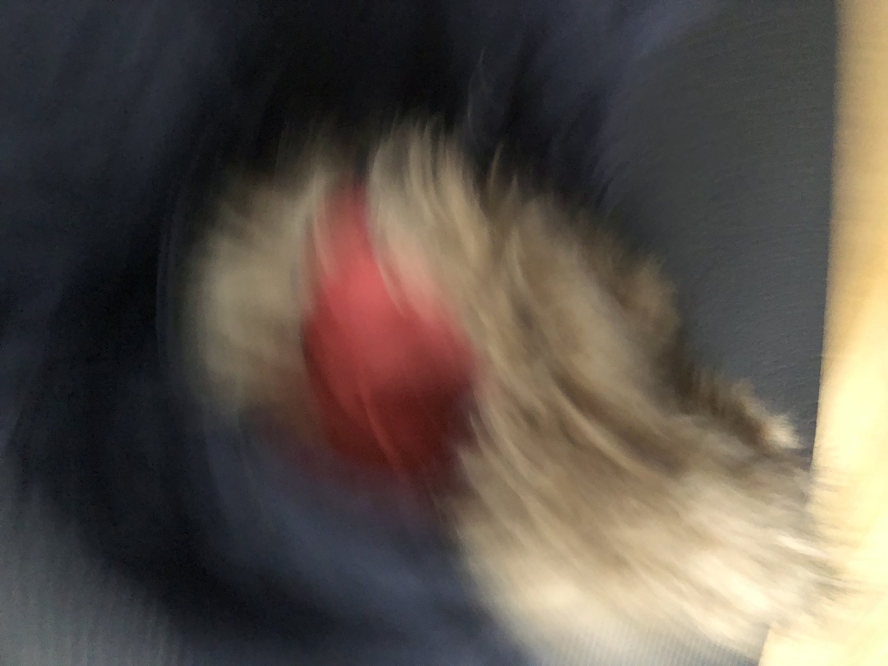 fotoserie unschärfe, motiv 12
