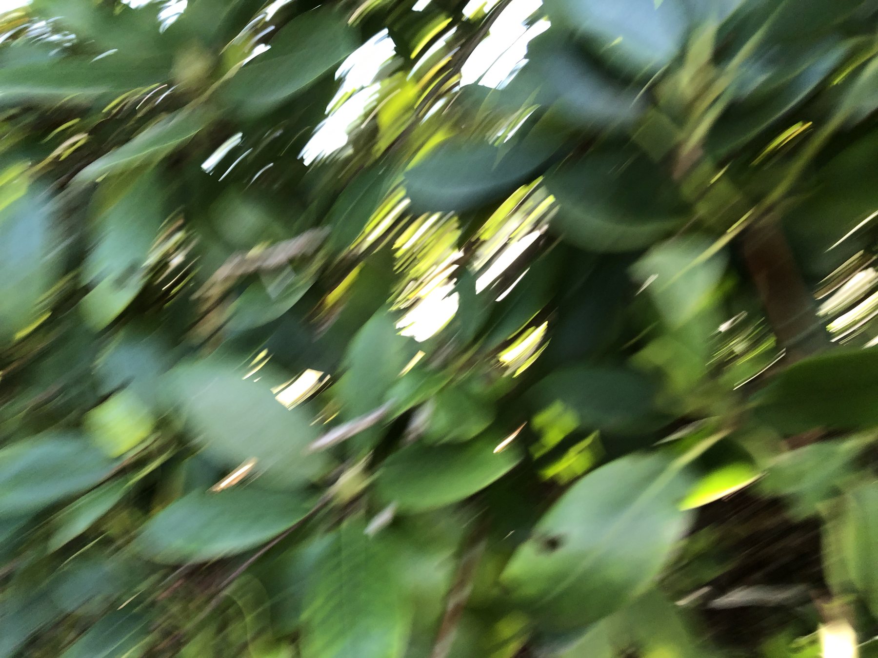 fotoserie unschärfe, motiv 14